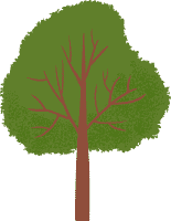 Tree Health Illustration
