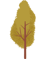 Tree Removal Illustration